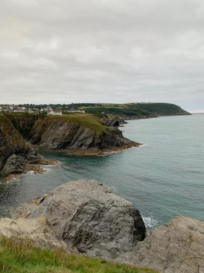 Wild Coastal Retreat At Troed Y Rhiw Aberporth, West Wales Villa Kültér fotó
