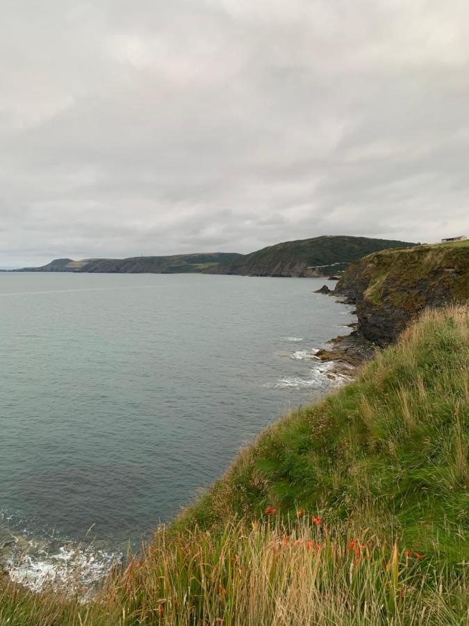 Wild Coastal Retreat At Troed Y Rhiw Aberporth, West Wales Villa Kültér fotó