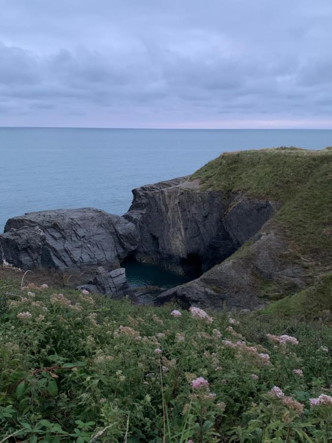 Wild Coastal Retreat At Troed Y Rhiw Aberporth, West Wales Villa Kültér fotó