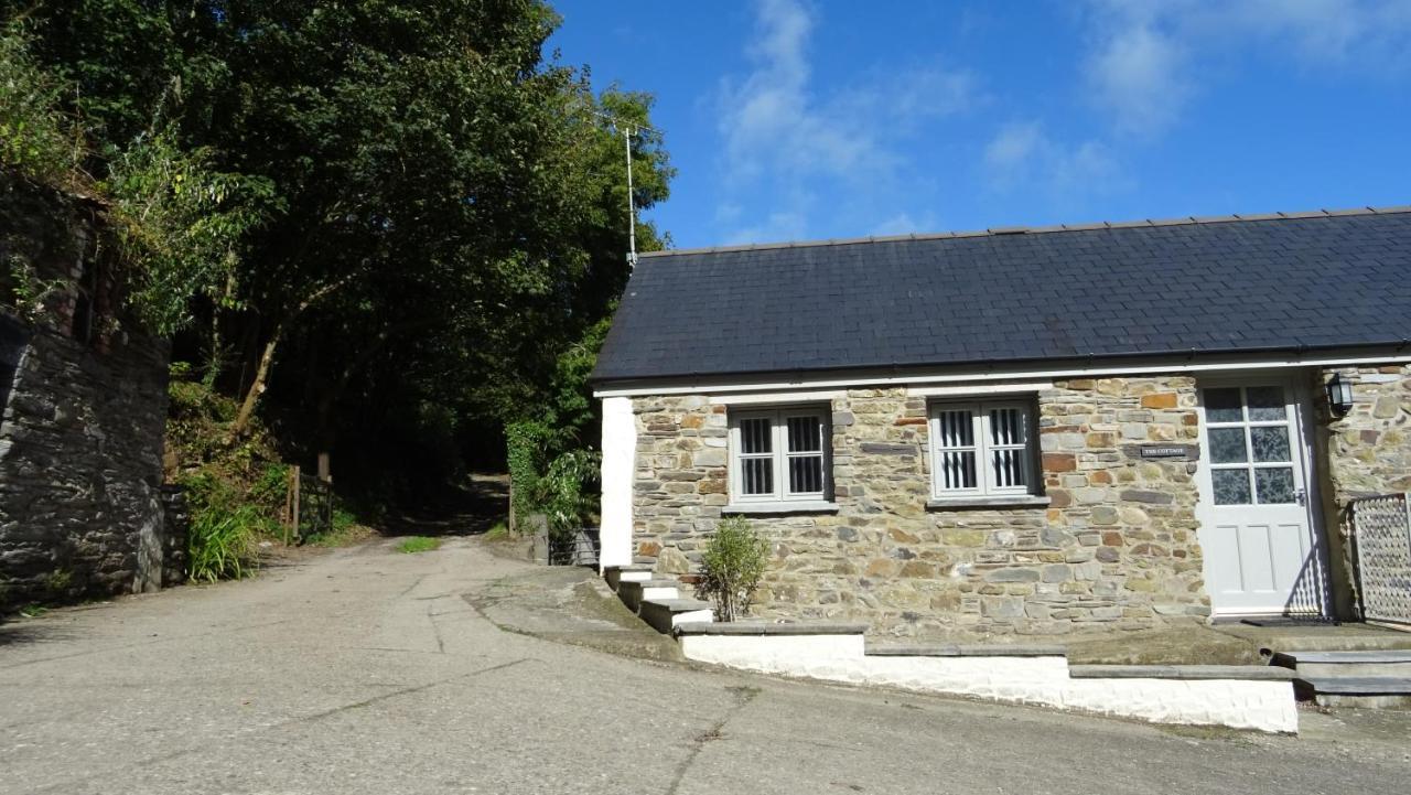 Wild Coastal Retreat At Troed Y Rhiw Aberporth, West Wales Villa Kültér fotó