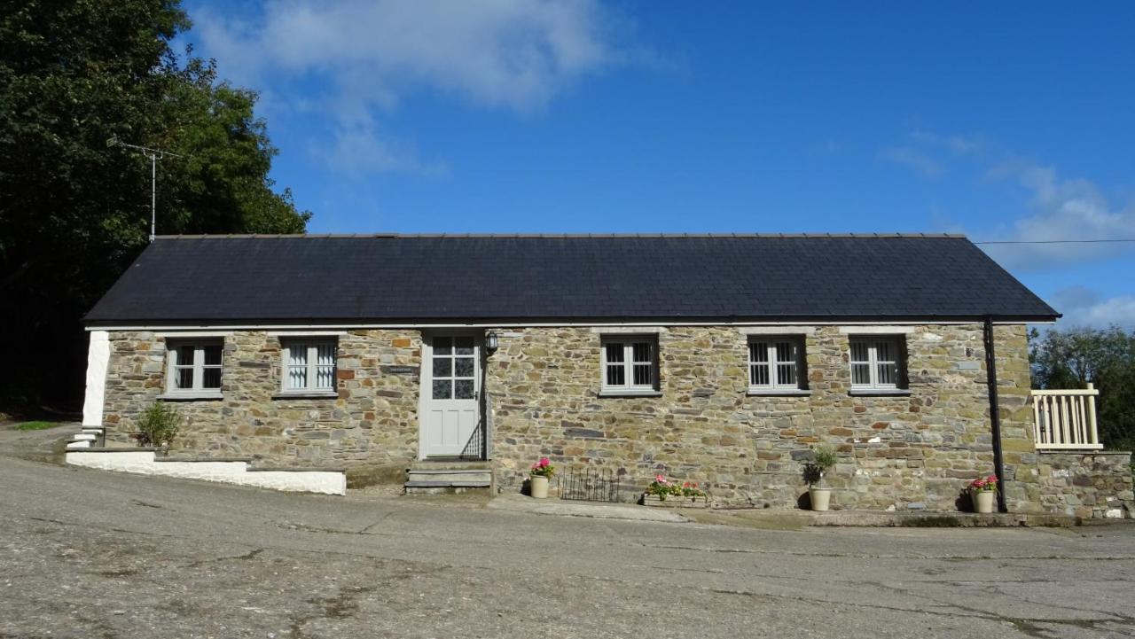 Wild Coastal Retreat At Troed Y Rhiw Aberporth, West Wales Villa Kültér fotó